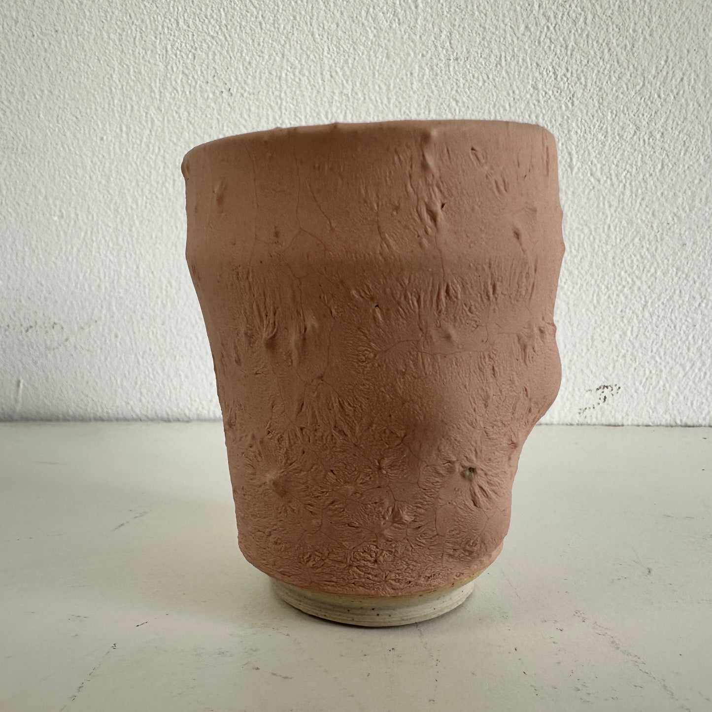 VS047 FLESH VESSEL #3