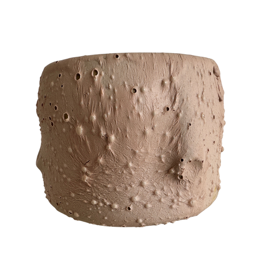 VS048 FLESH VESSEL #6