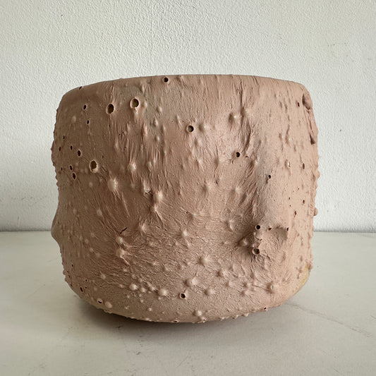 VS048 FLESH VESSEL #6