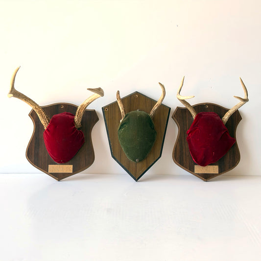 WD023 TRIO OF VELVET ANTLER MOUNTS