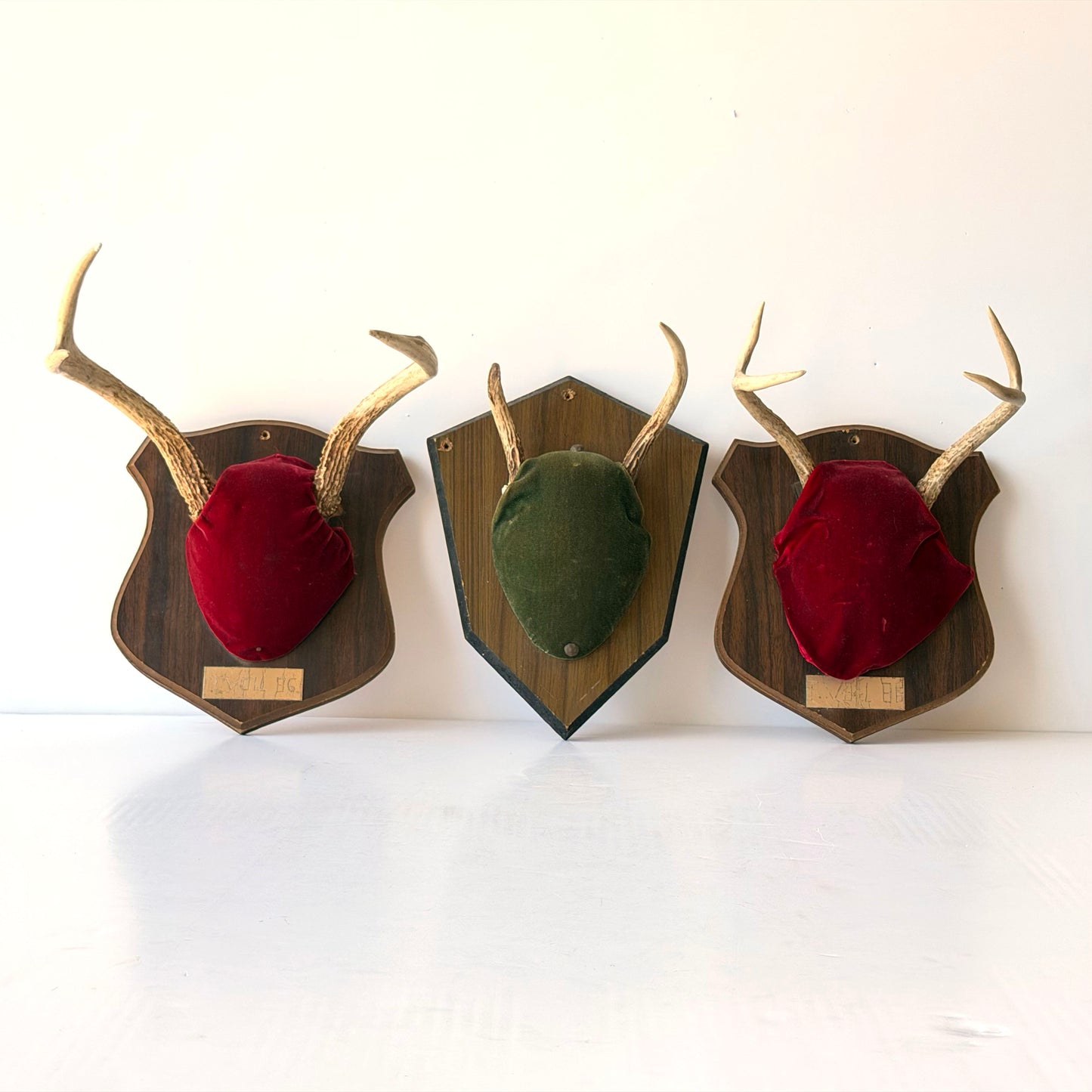 WD023 TRIO OF VELVET ANTLER MOUNTS
