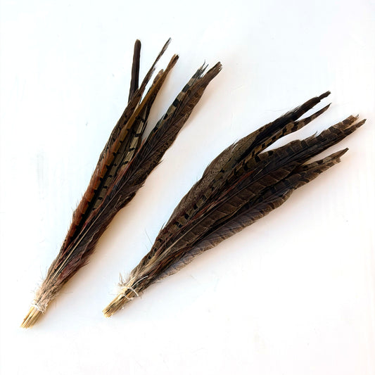 OB135 2 BUNCHES OF FEATHERS