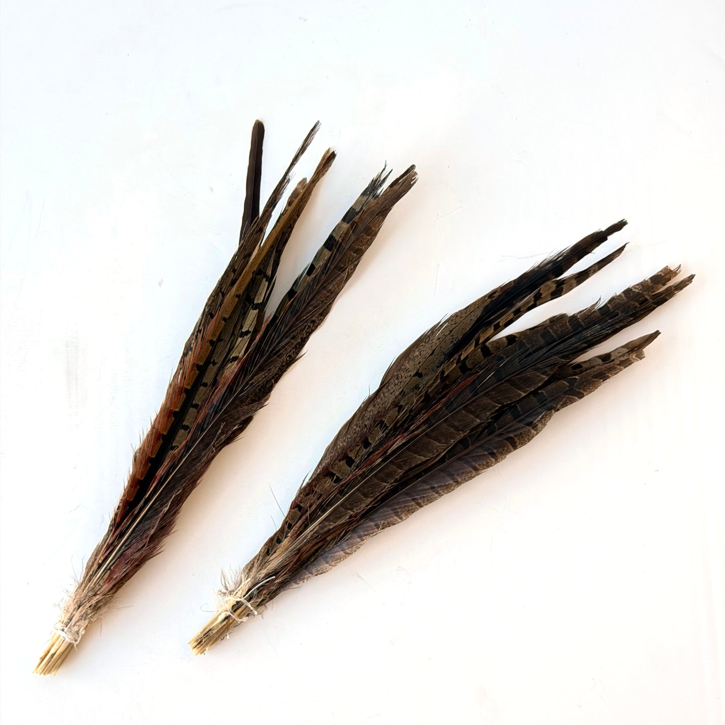 OB135 2 BUNCHES OF FEATHERS