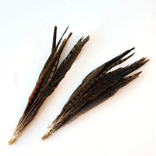 OB135 2 BUNCHES OF FEATHERS